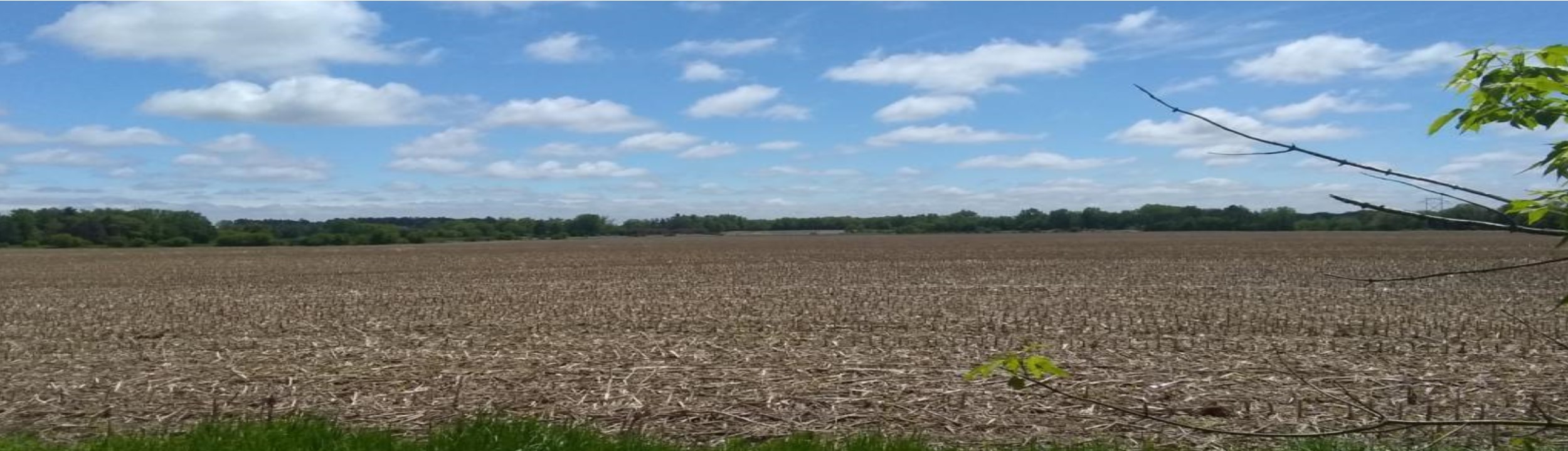 A plowed field with blue sky
